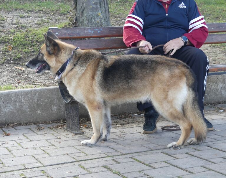 Bine 14