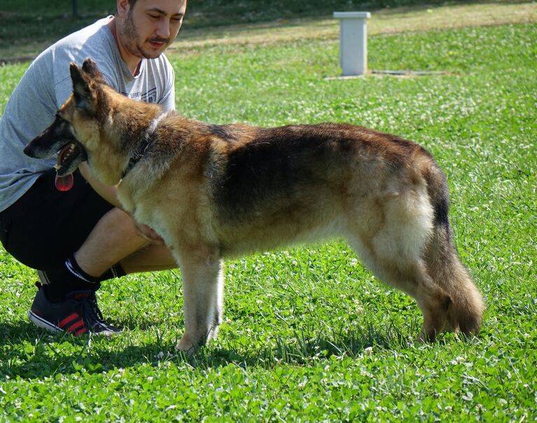 Bine 24