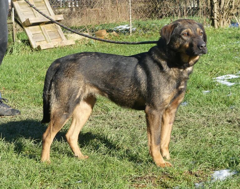 Inga 7