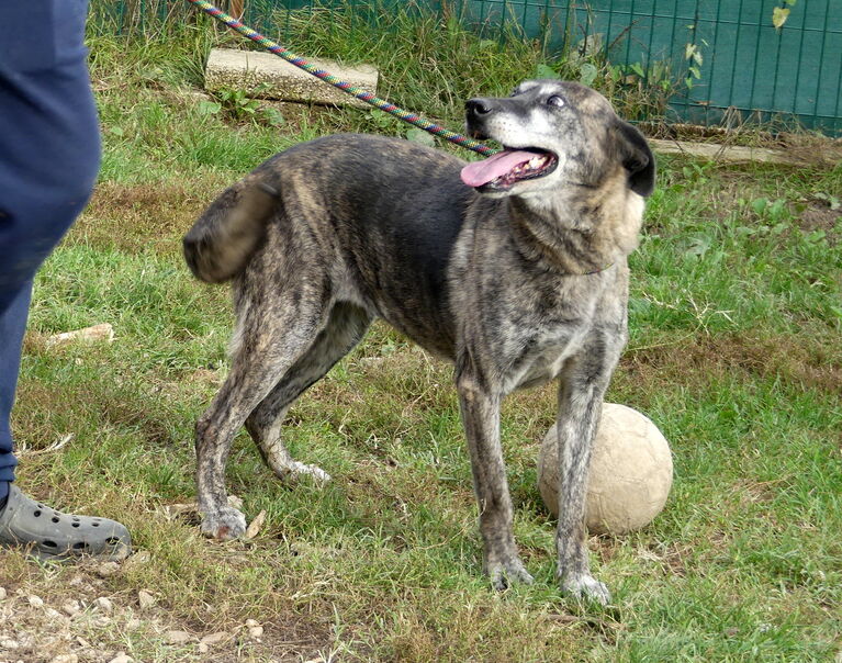 Nala 8
