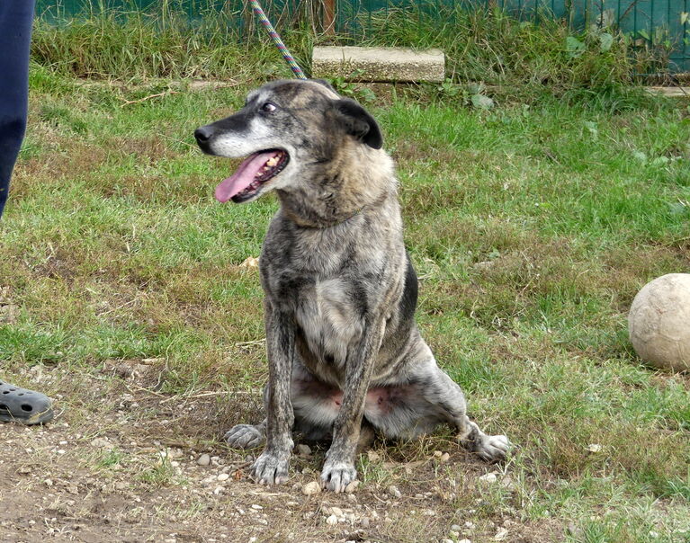 Nala 9