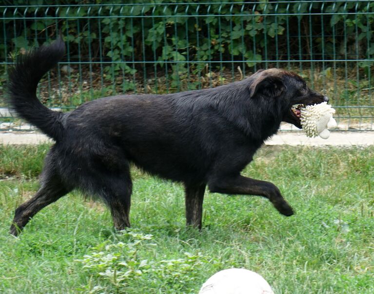 Jura 9