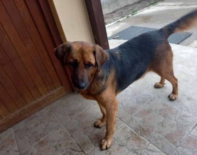 Kimy 8