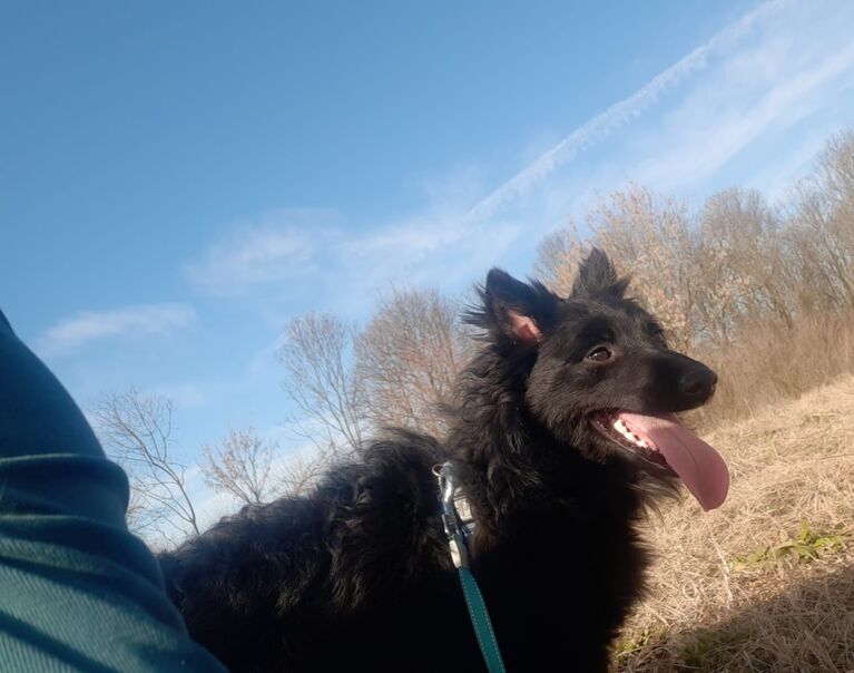Bella