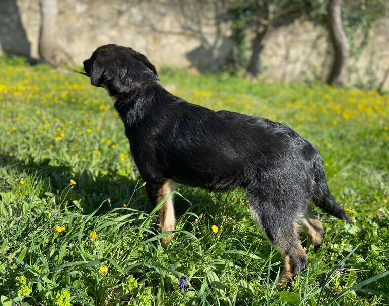 Cloe 11