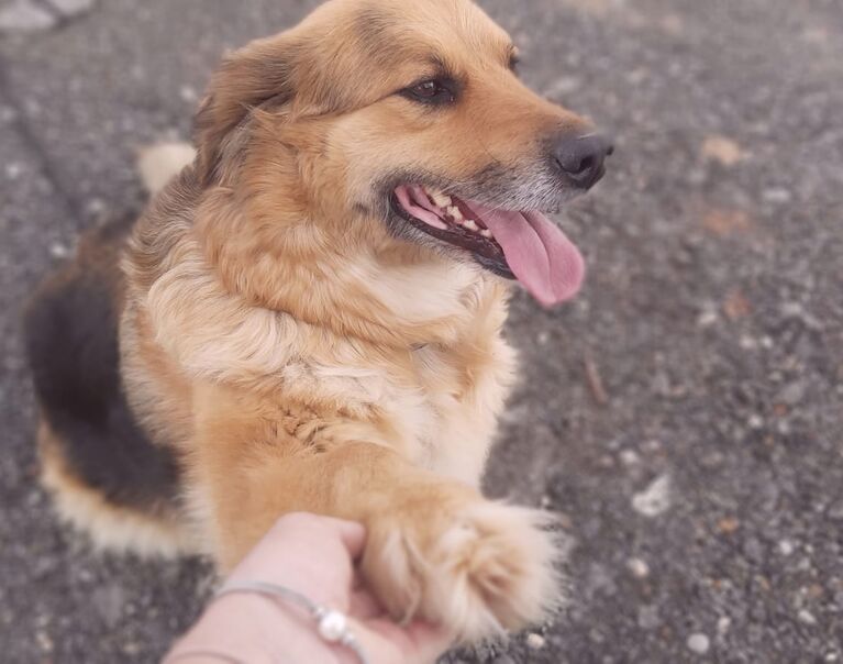 Mokka