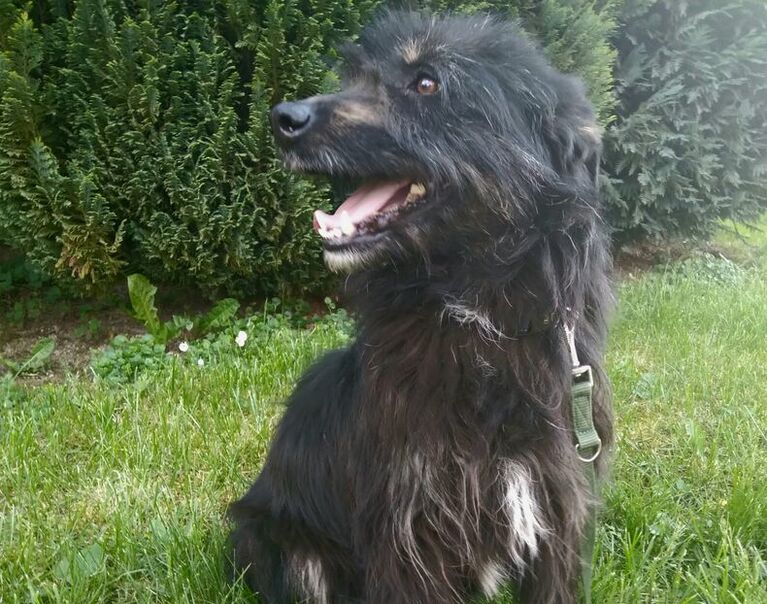 Winston