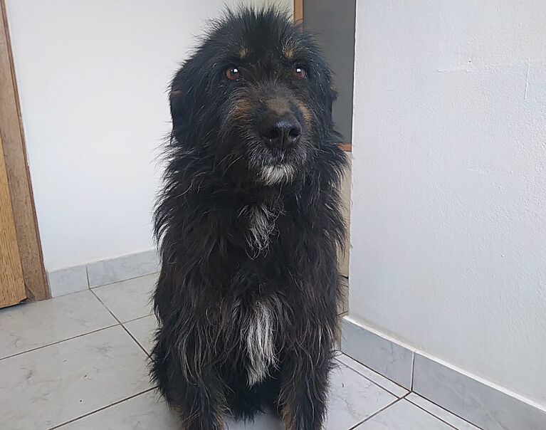 Winston 2