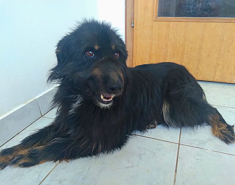 Winston 3