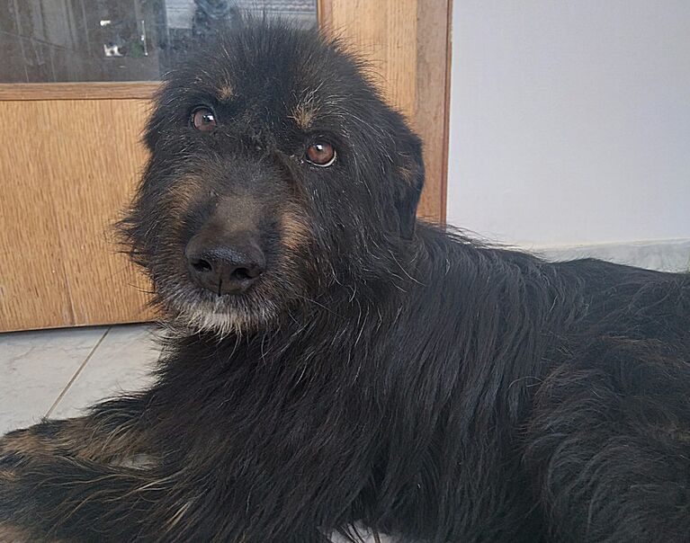 Winston 4