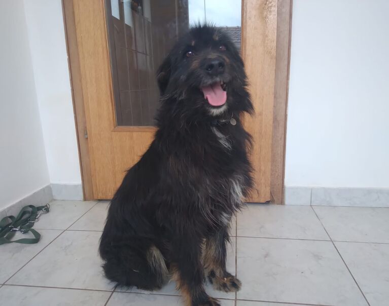 Winston 7