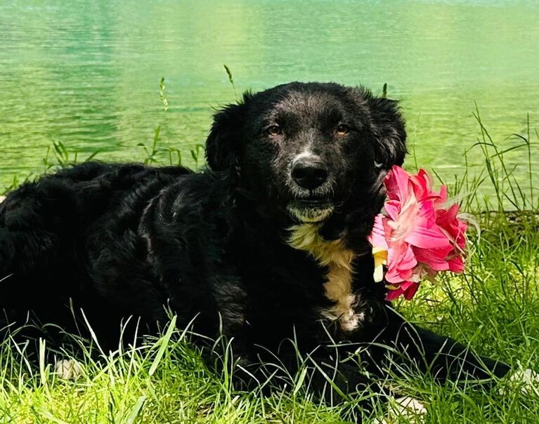 Lolita 3