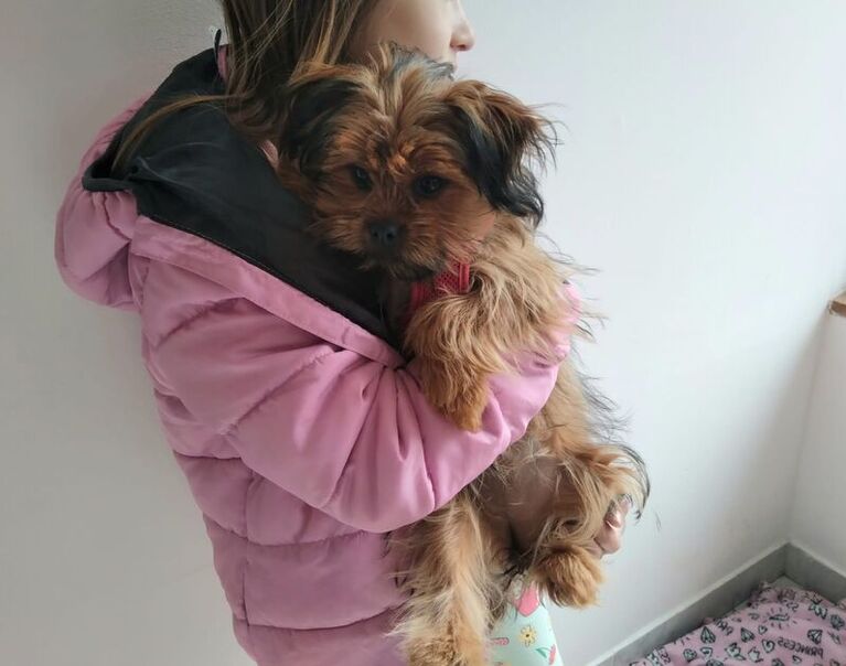 Elly 2