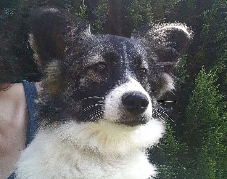 Lucy