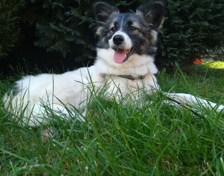 Lucy 2