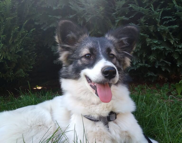 Lucy 5