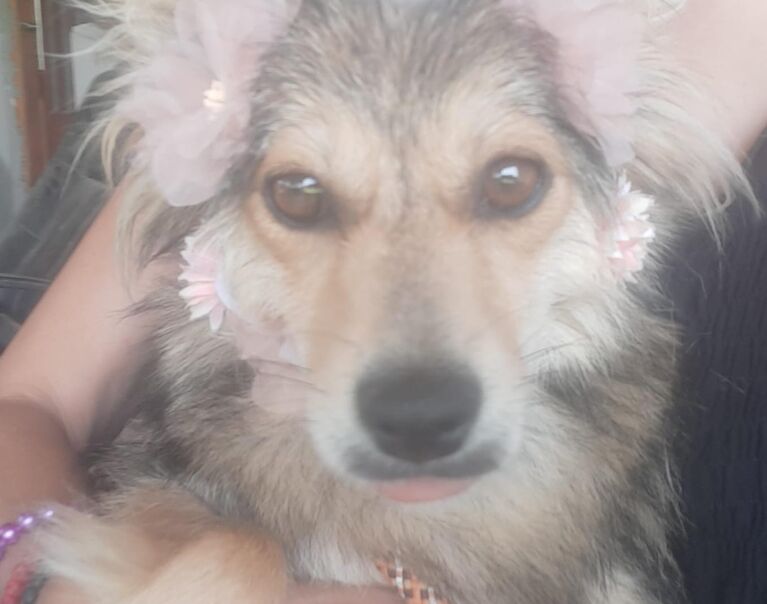 Queeny 2