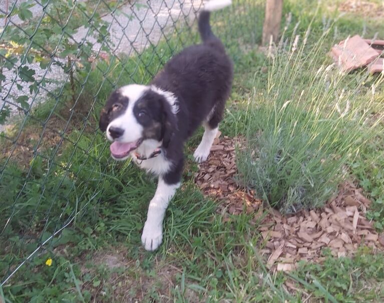 Walter