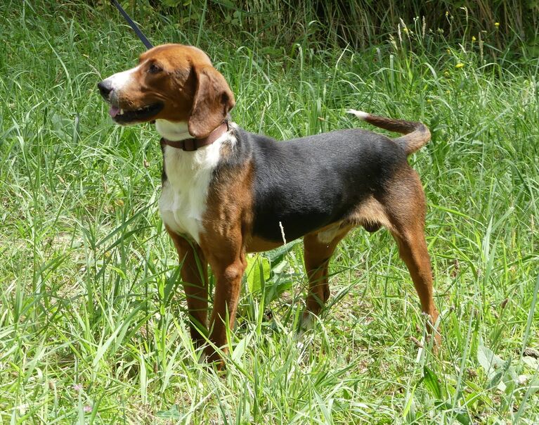 Moritz  7