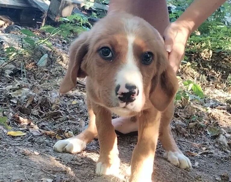Fiona