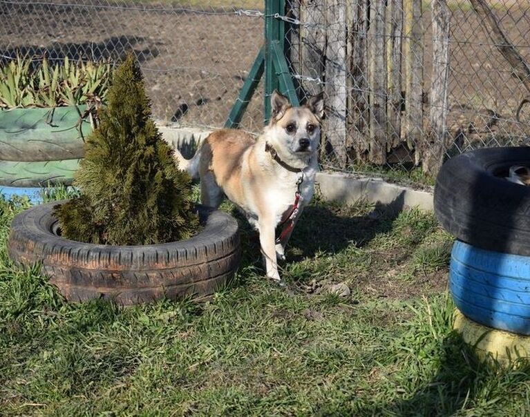 Tobi & Zorka  3