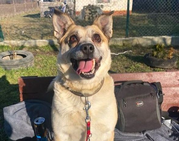 Tobi & Zorka  4
