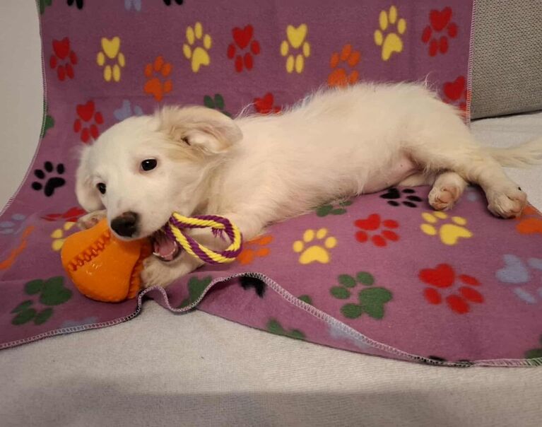 Fiona