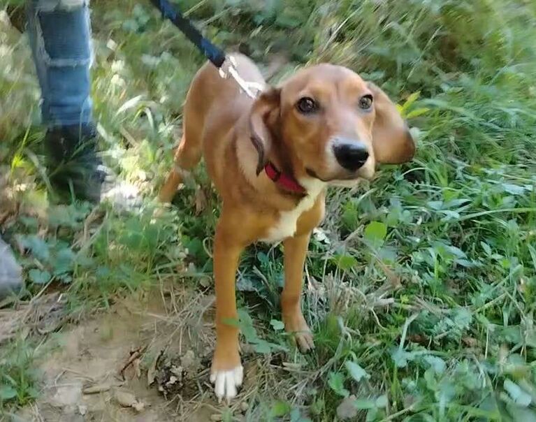 Molly 3