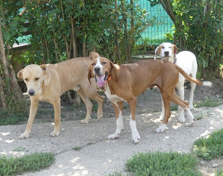 Gita 2