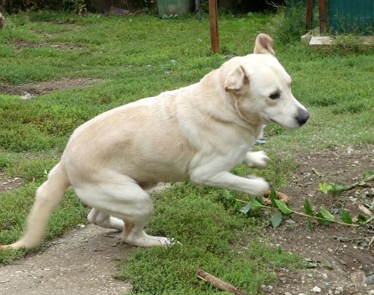 Luka (Lord) 4