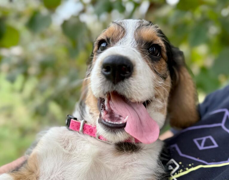 Lena