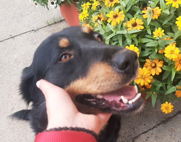 Berta 5