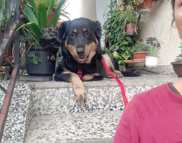 Berta 6