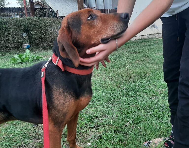 Budy 12