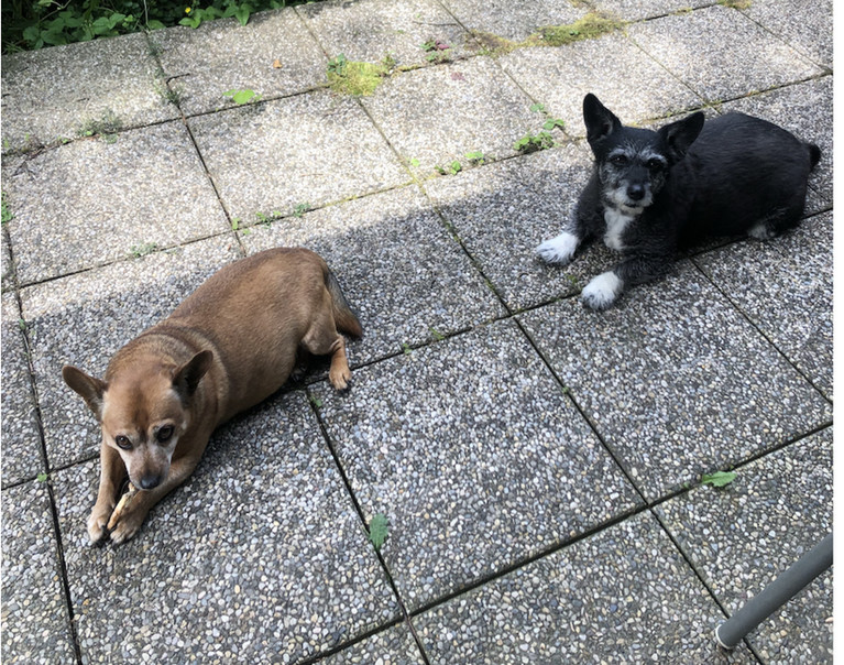 Bonita & Max