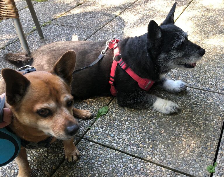 Bonita & Max 5