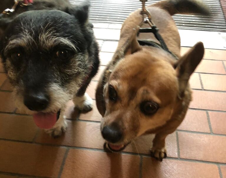 Bonita & Max 6