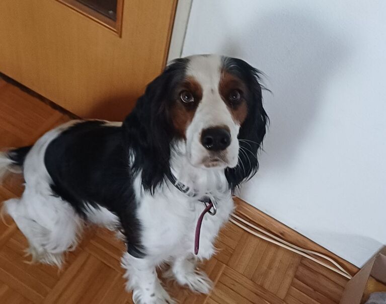 Lucy