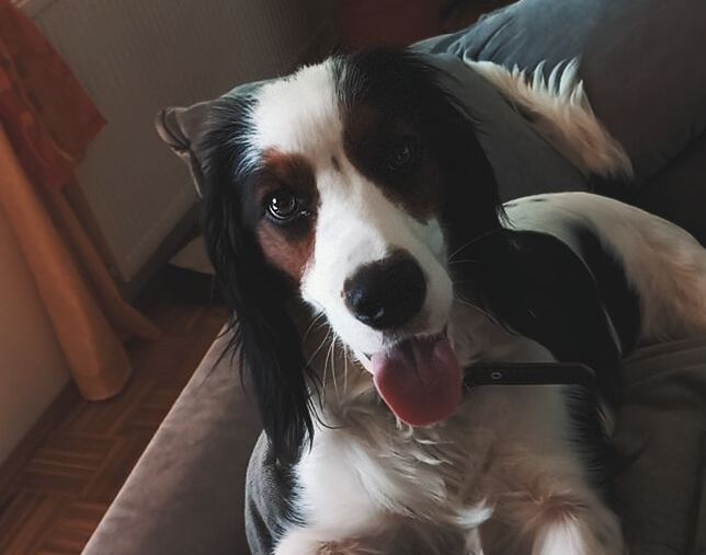 Lucy 2