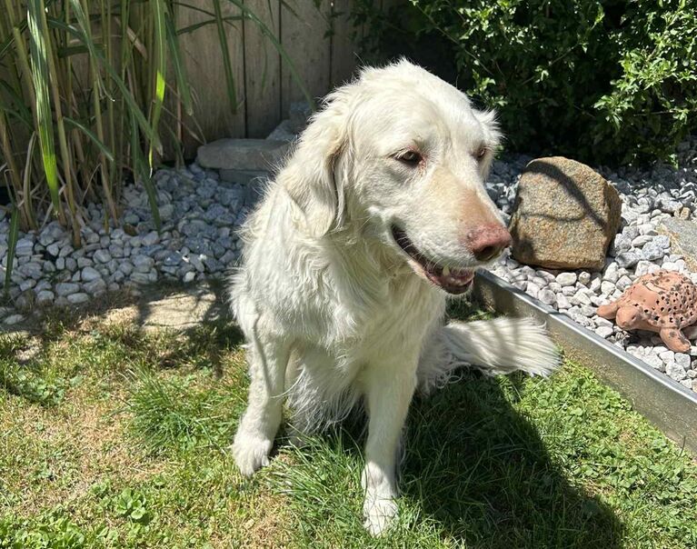 Ronja 3