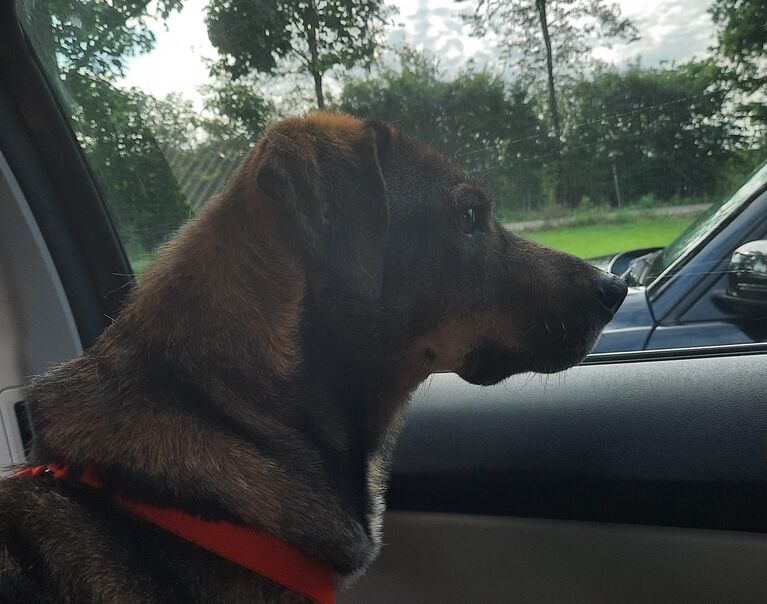 Monty
