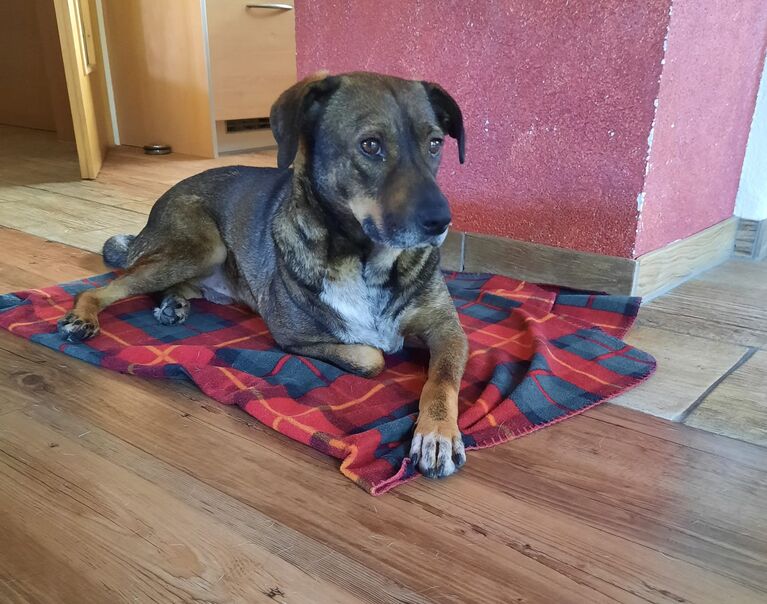 Monty 3