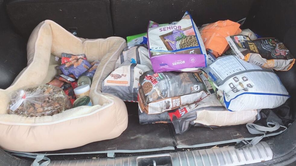 Ein Kofferraum voller Spenden für Straßenhunde